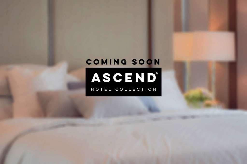 Mayfair Hotel, Ascend Hotel Collection New York Luaran gambar